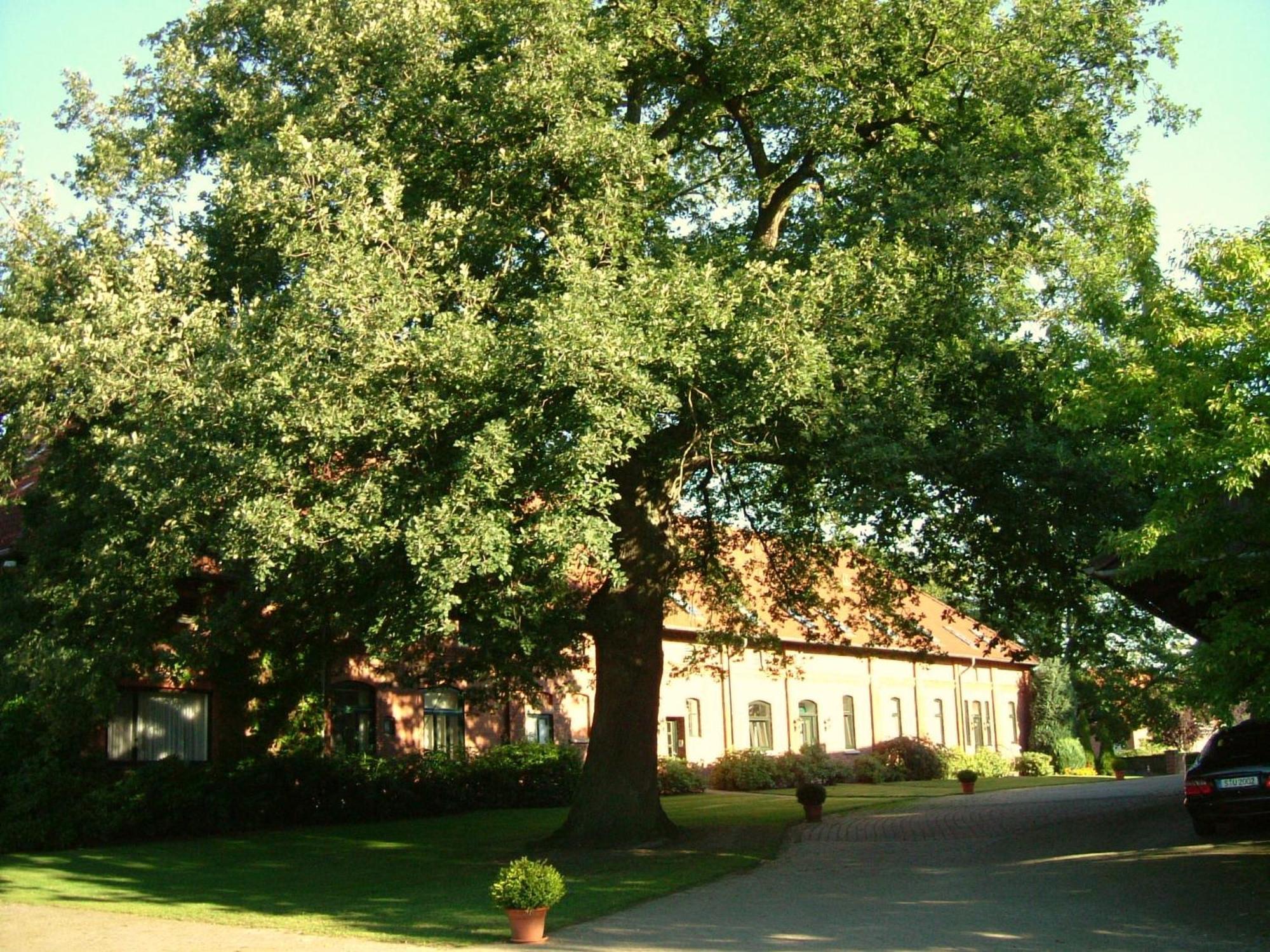 Gaestehaus Schlossgarten Etelsen Buitenkant foto